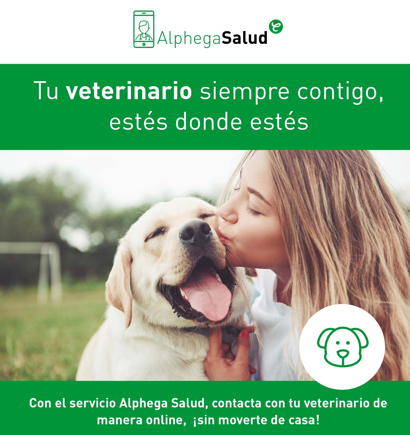 veterinario_alphega_salud