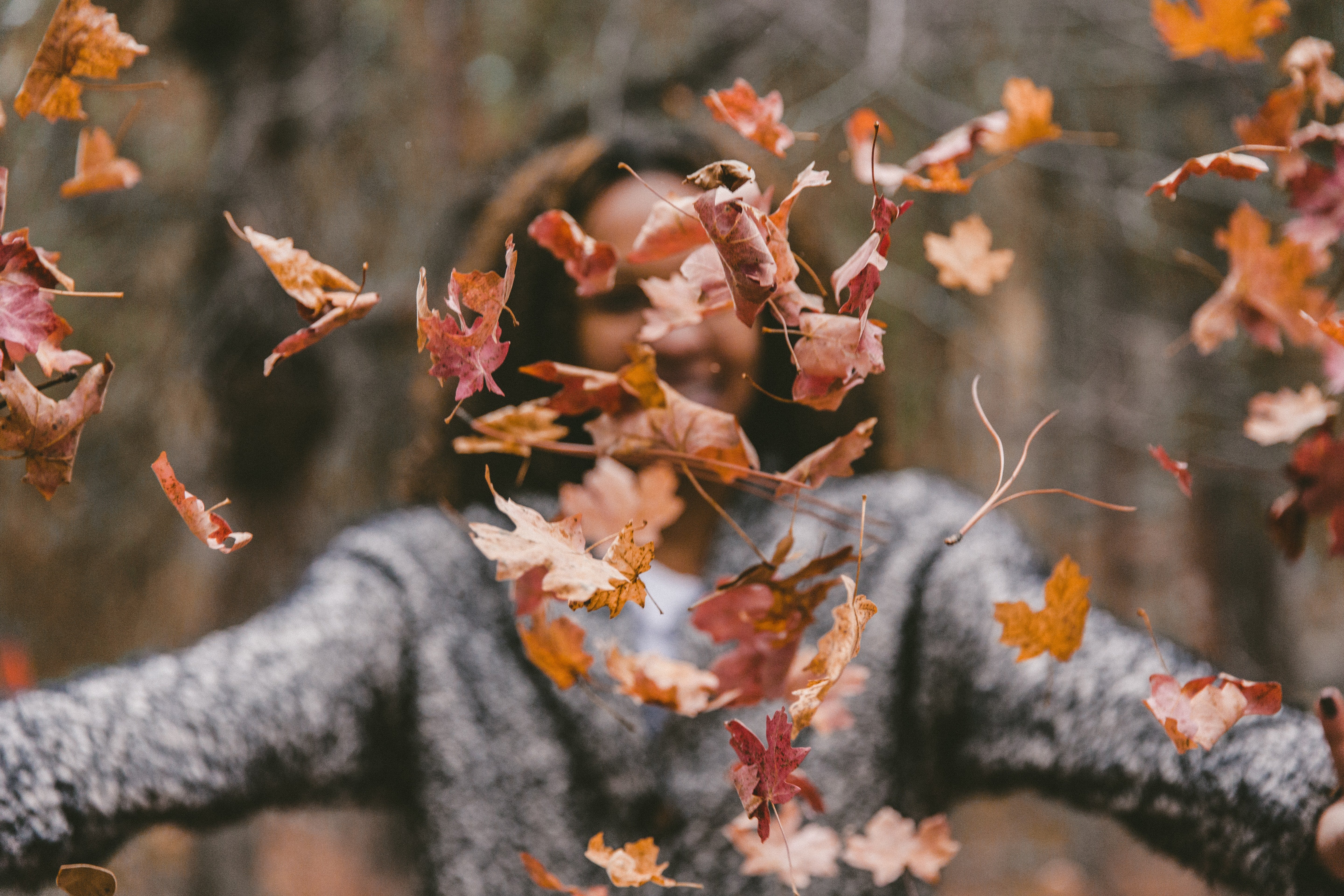 otoño