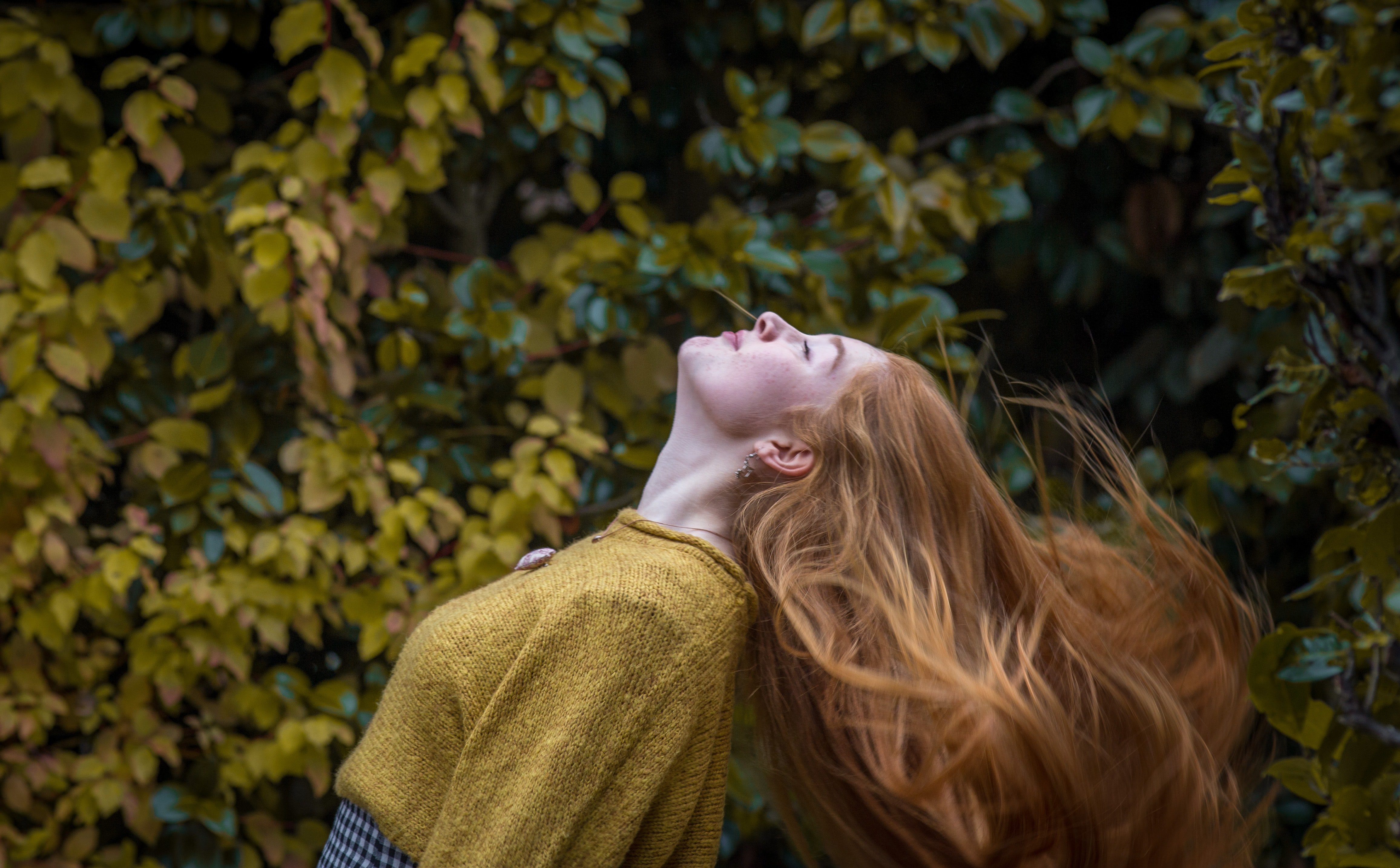 Pelo otoño 